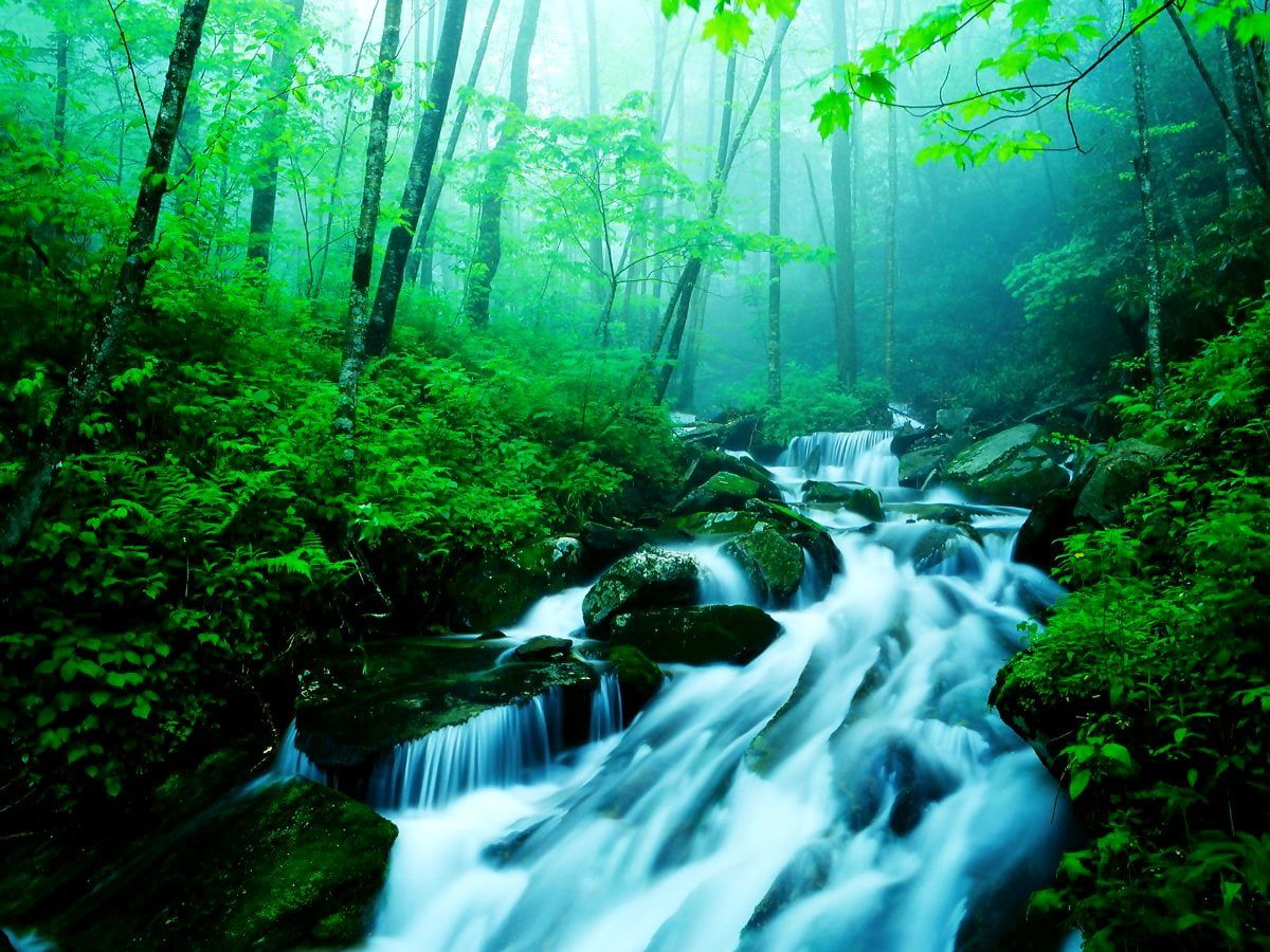Bach, Stromschnellen, Regenwald, Nebel, Türkis-Grün, Hintergrundbild für iPad und Tablet