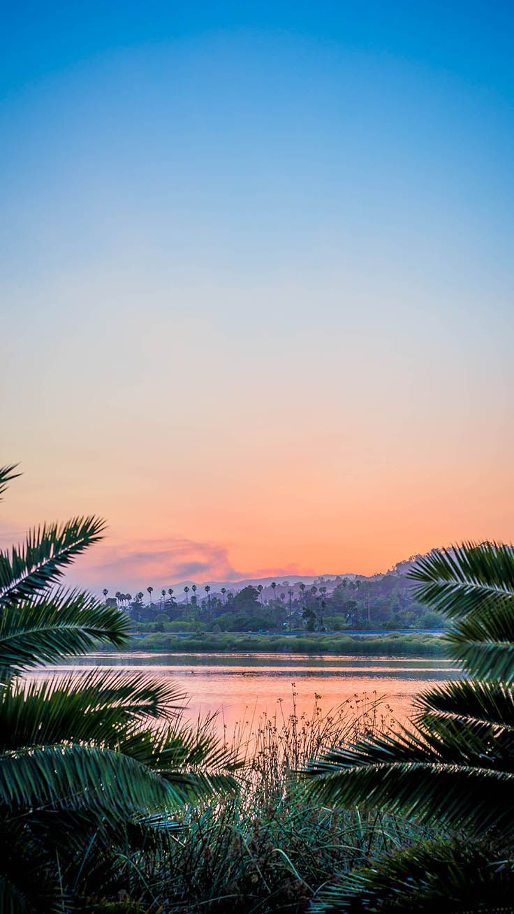 Sonnenuntergang, See, Palmen, Abendhimmel, Minimalistisch, Android-Hintergrundbild