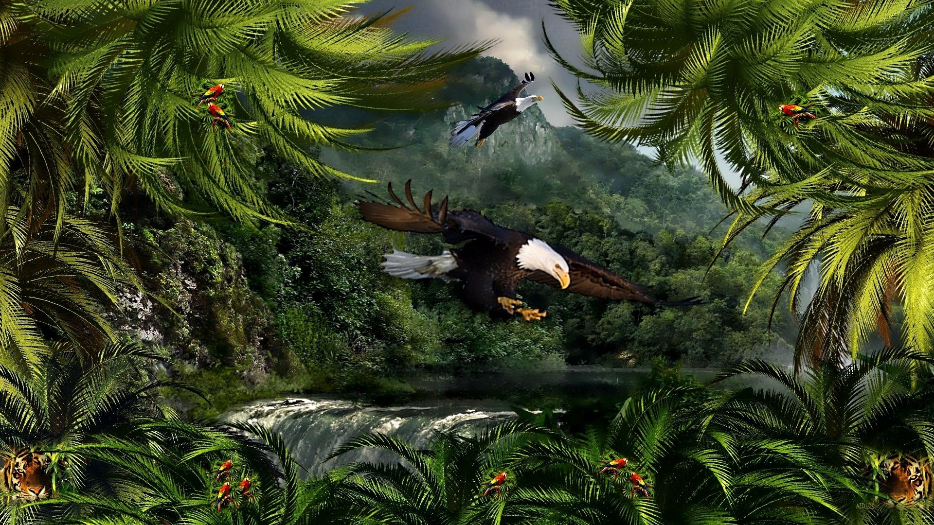 Weißkopfseeadler, Regenwald, Palmenblätter, Fotomontage, Wasser, 1920x1080, PC-Hintergrundbild