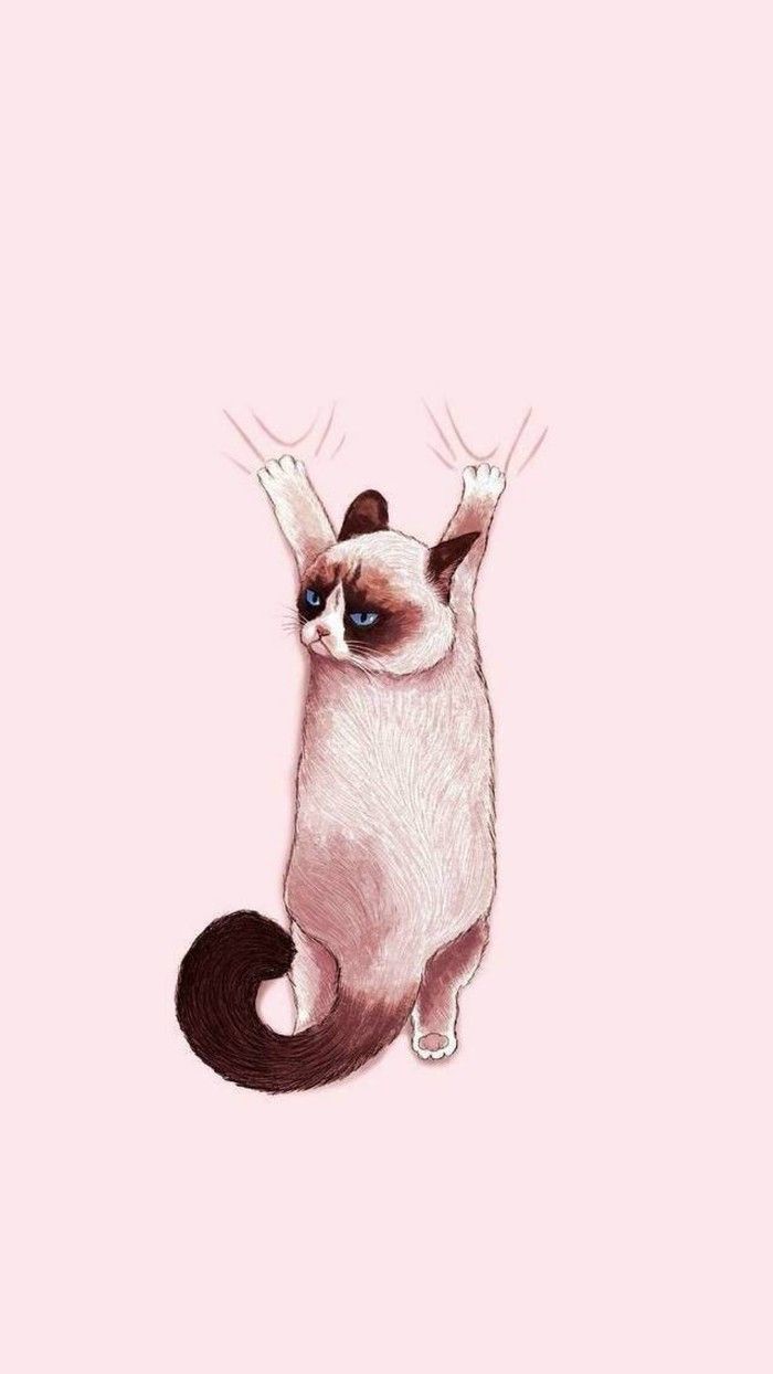 Siamkatze, Illustration, Rosa Hintergrund, Niedlich, Minimalistisch, Sperrbildschirm fürs iPhone