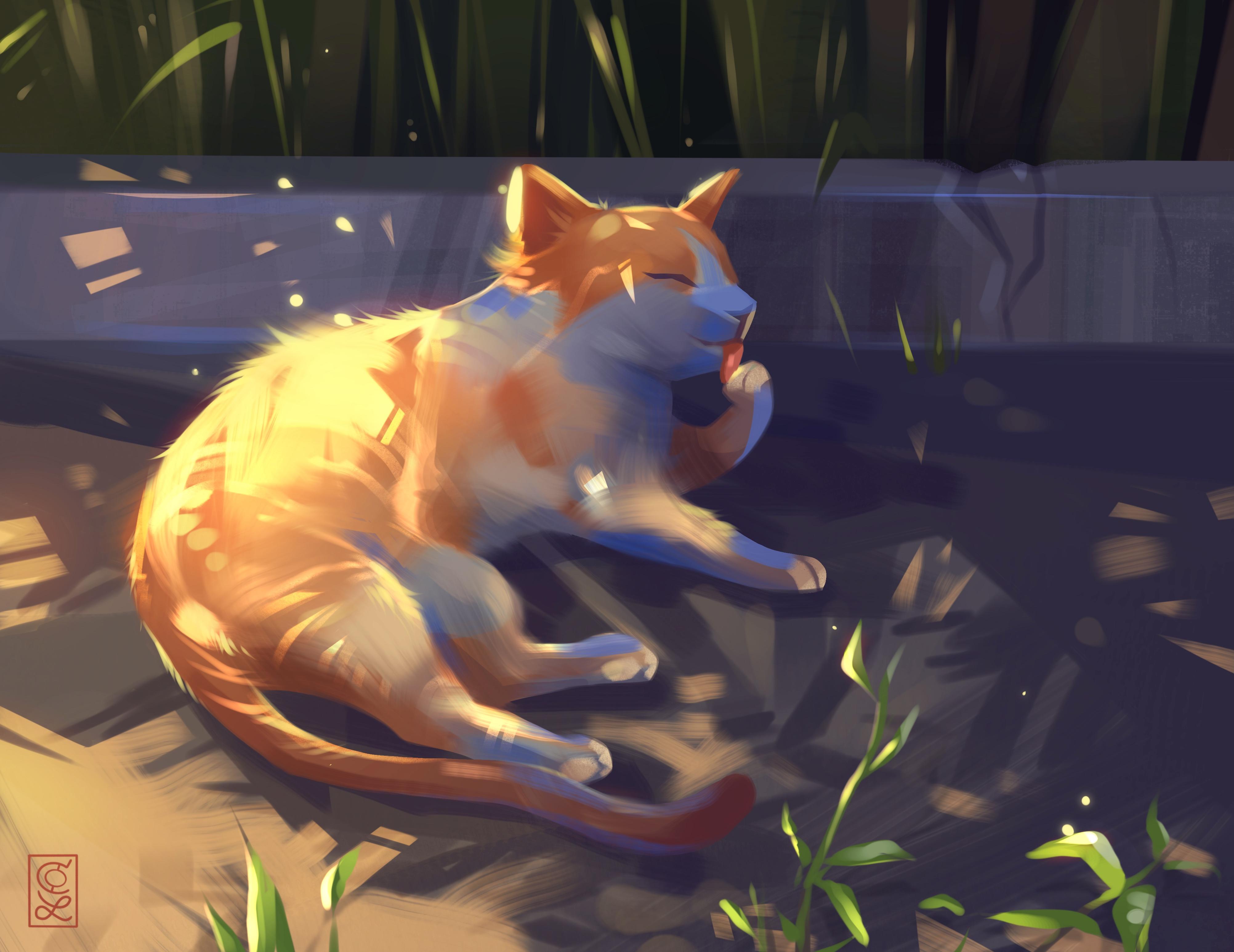 Rote Katze, Digitale Malerei, Sonnenlicht, Illustration, Liegend, 4K-Hintergrundbild für PC