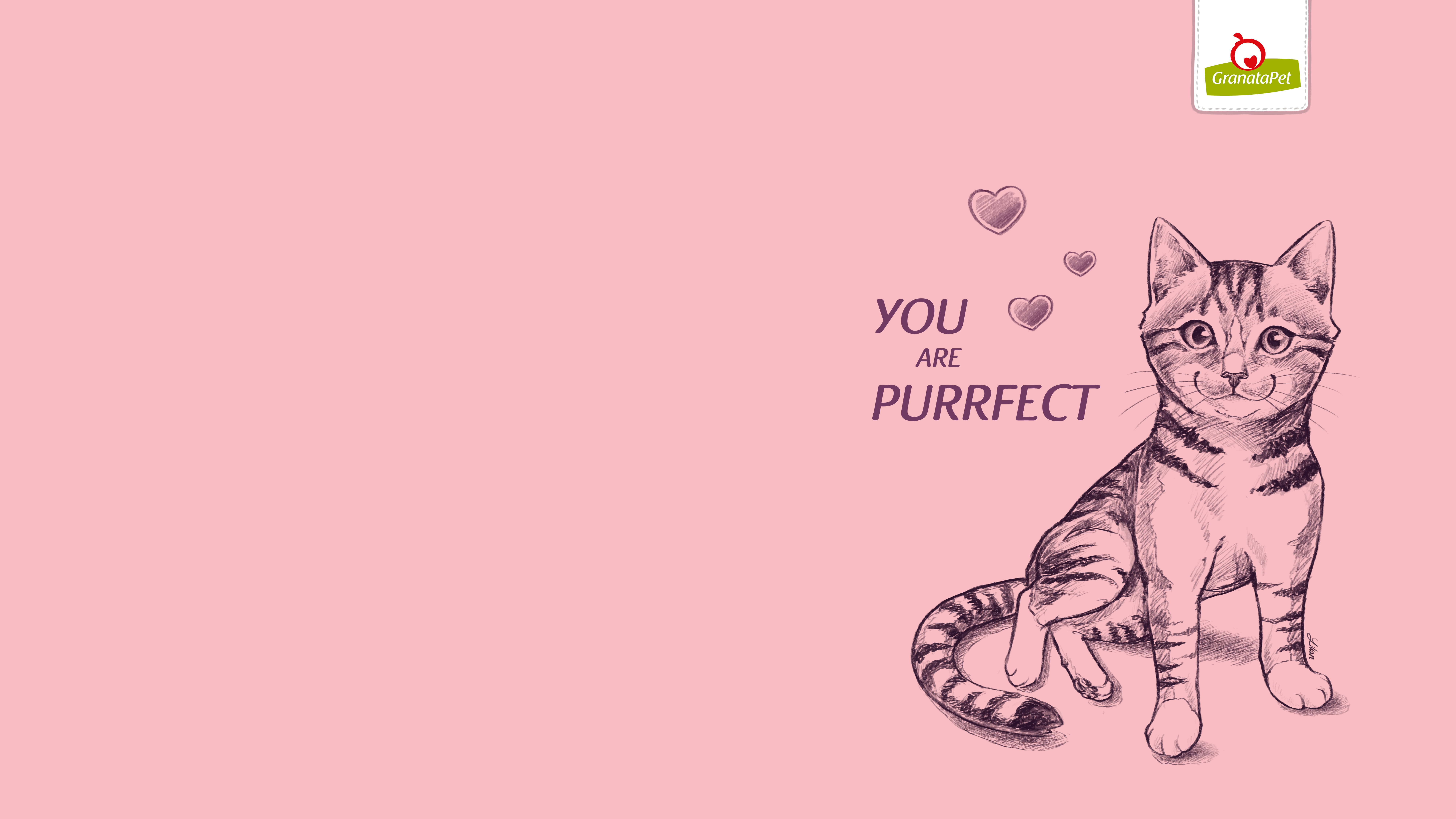 You are purrfect, Katzenzeichnung, Herzen, Rosa Hintergrund, Wortspiel, 8K Wallpaper