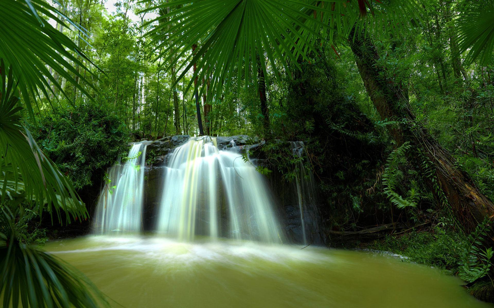 Wasserfall, Palmenblätter, Regenwald, Langzeitbelichtung, Tropen, Full-HD-Hintergrundbild für PC