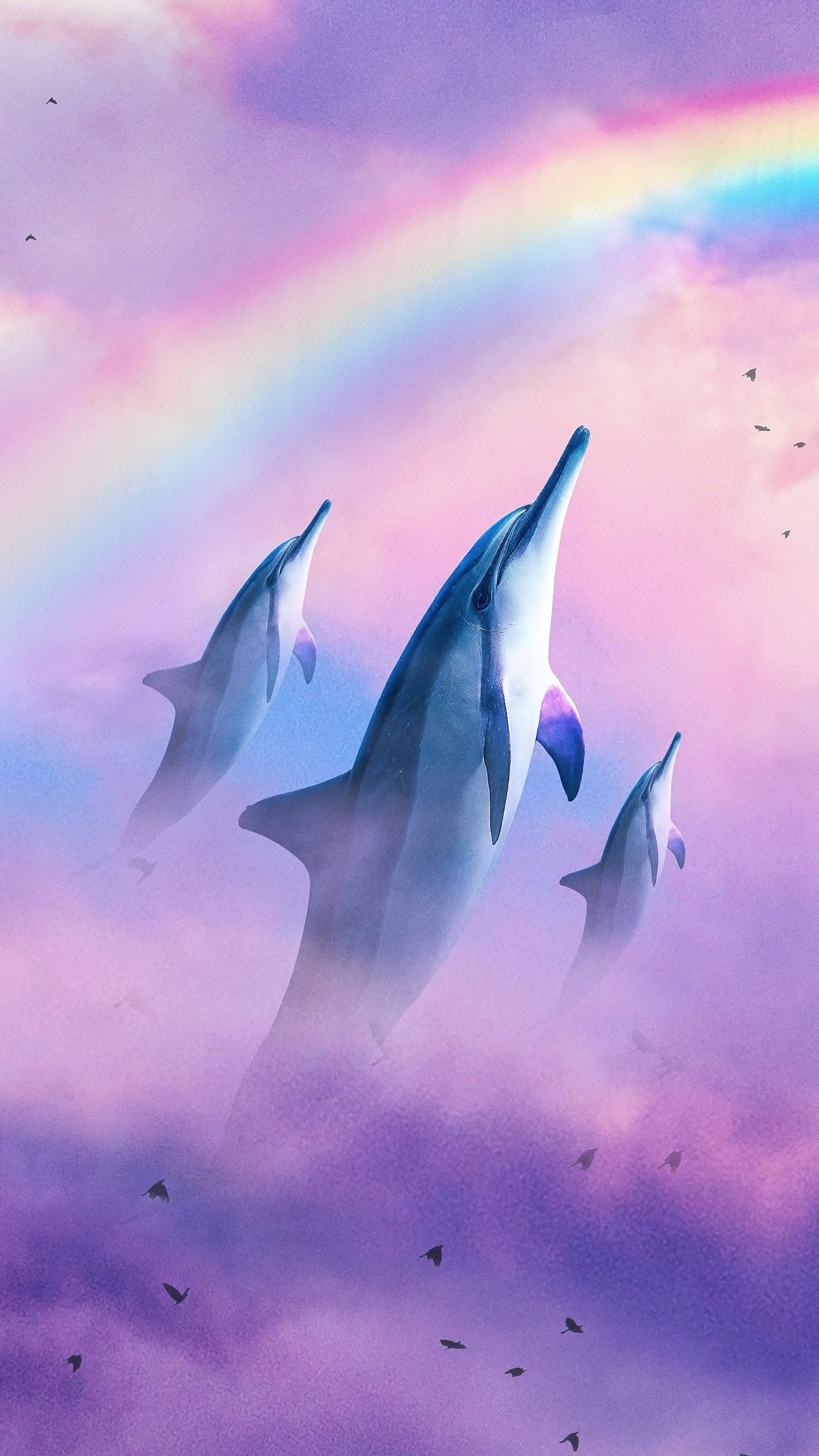 Delfine, Regenbogen, Pastellfarben, Lila, Fantasy, QHD+, Handy-Hintergrund im Hochformat