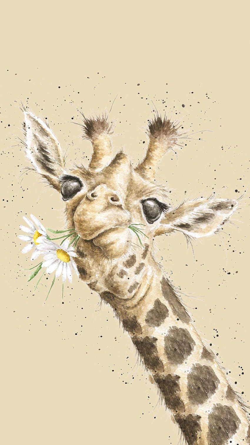 Aquarell, Gänseblümchen, Giraffenkopf, Illustration, Beige, Android-Hintergrundbild