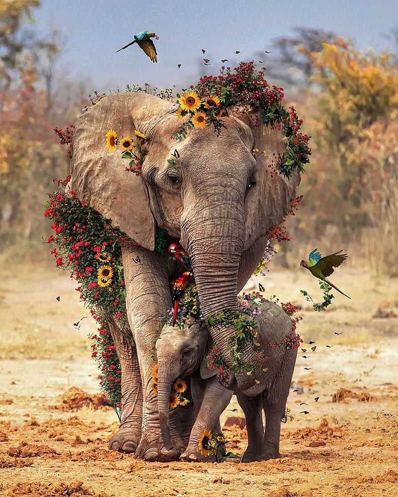 Elefantenmutter, Elefantenkalb, Blumenkranz, Kolibri, Fantasy, Hintergrundbild fürs iPad