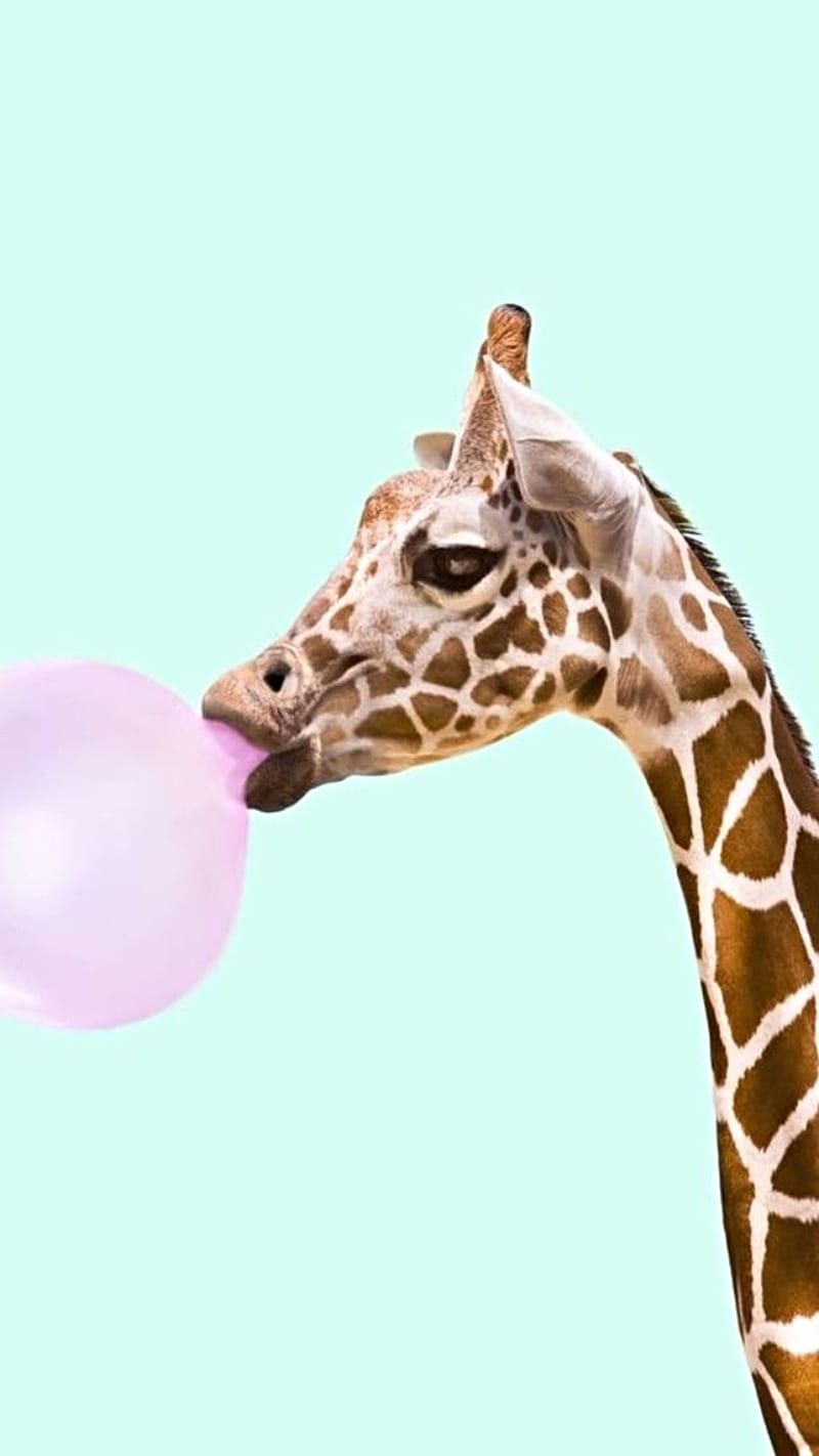 Kaugummiblase, Lustig, Mintgrün, Pop-Art, Giraffe, HD, Handy-Hintergrund im Hochformat