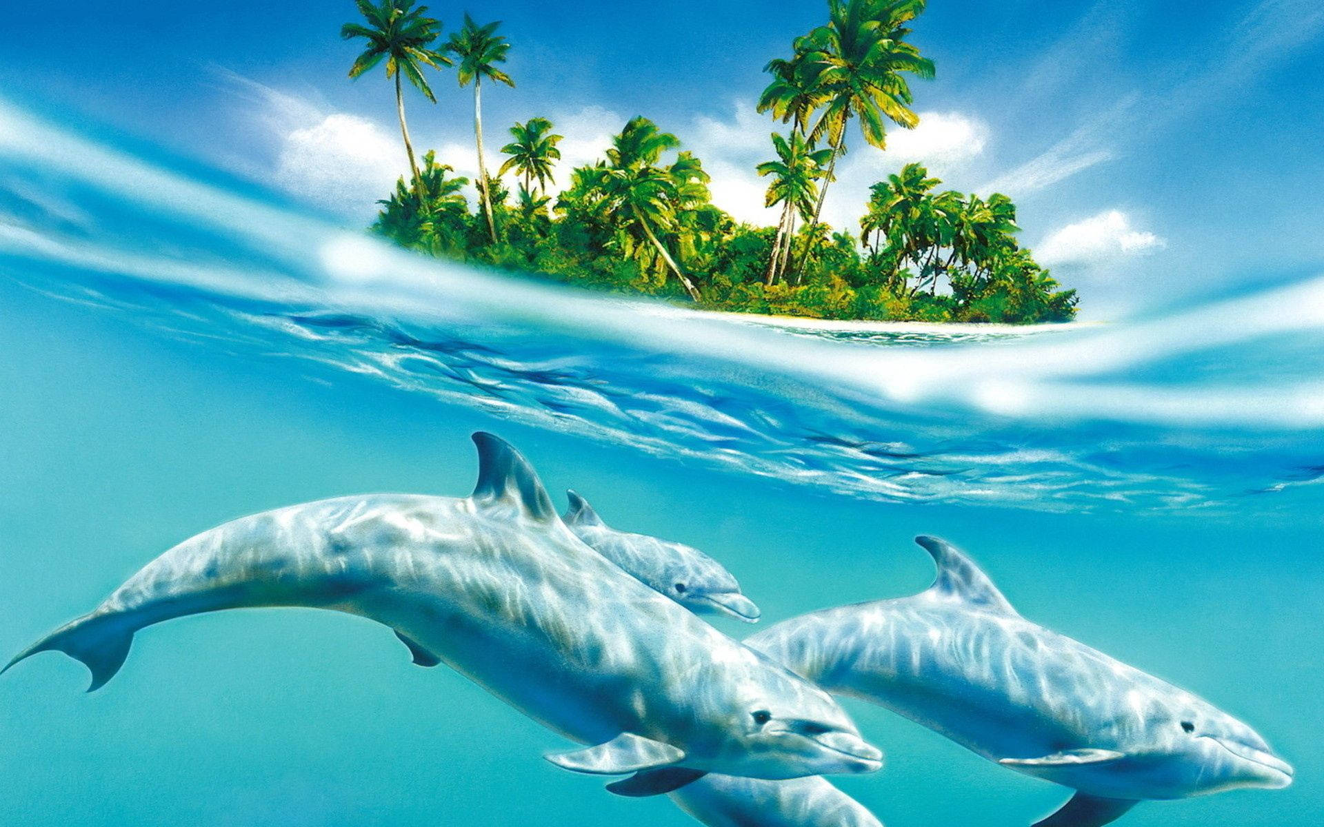 Delfine, Unterwasser, Tropeninsel, Palmen, Halb-unter-Wasser, Full HD, Windows-Hintergrundbild