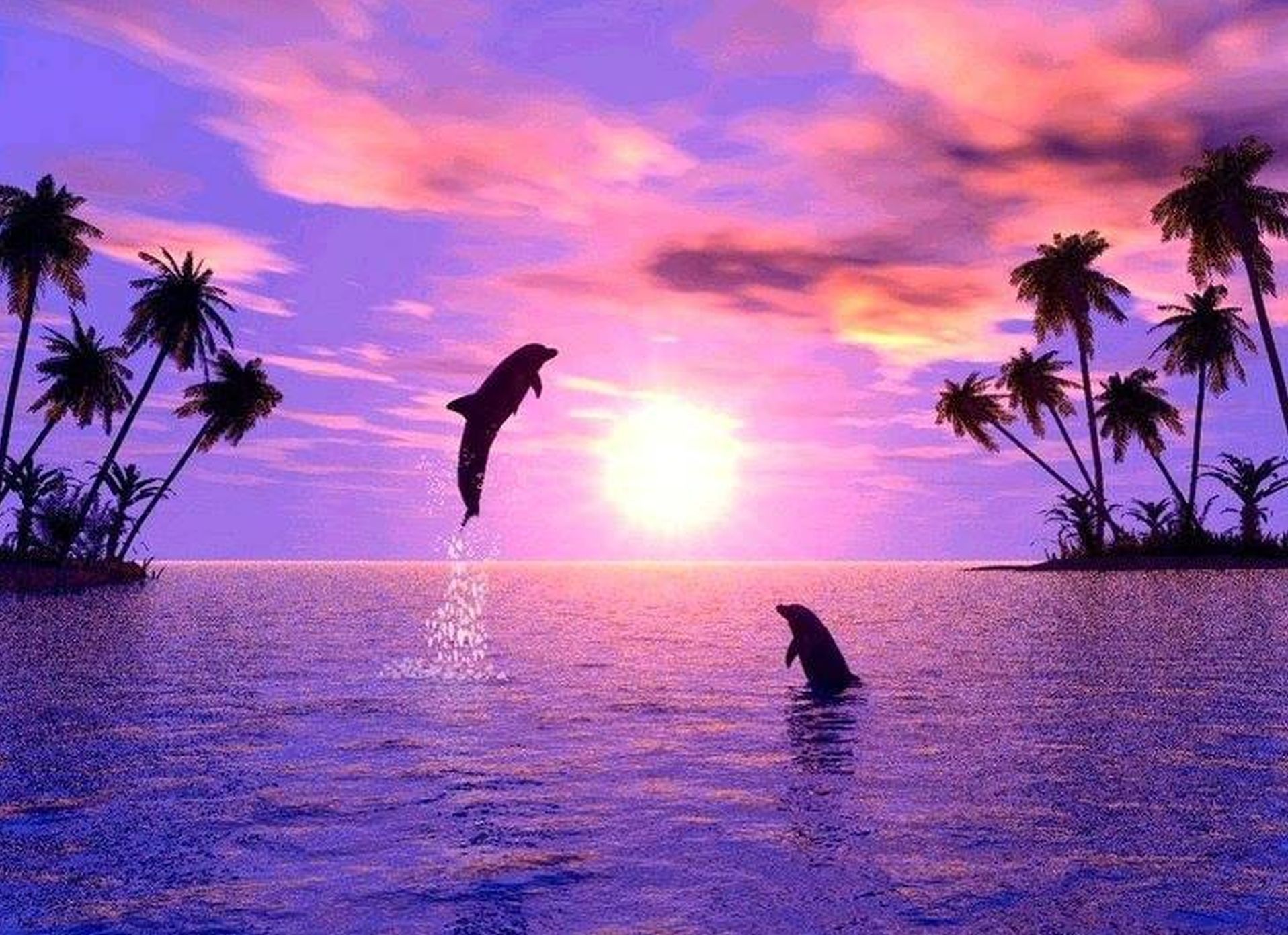 Delfine, Sonnenuntergang, Palmen, Lila Himmel, Tropen, HD, Hintergrund für den Desktop