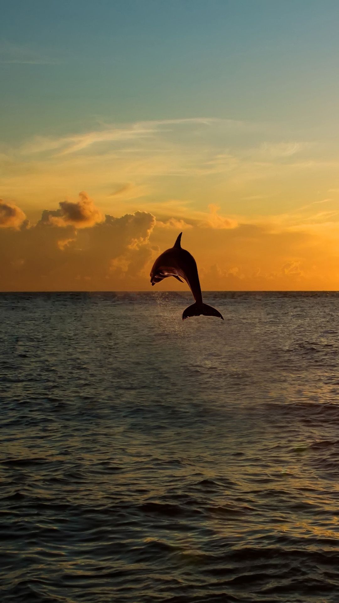Delfin, Silhouette, Sprung, Sonnenuntergang, Meer, Full HD, Hintergrundbild fürs Handy