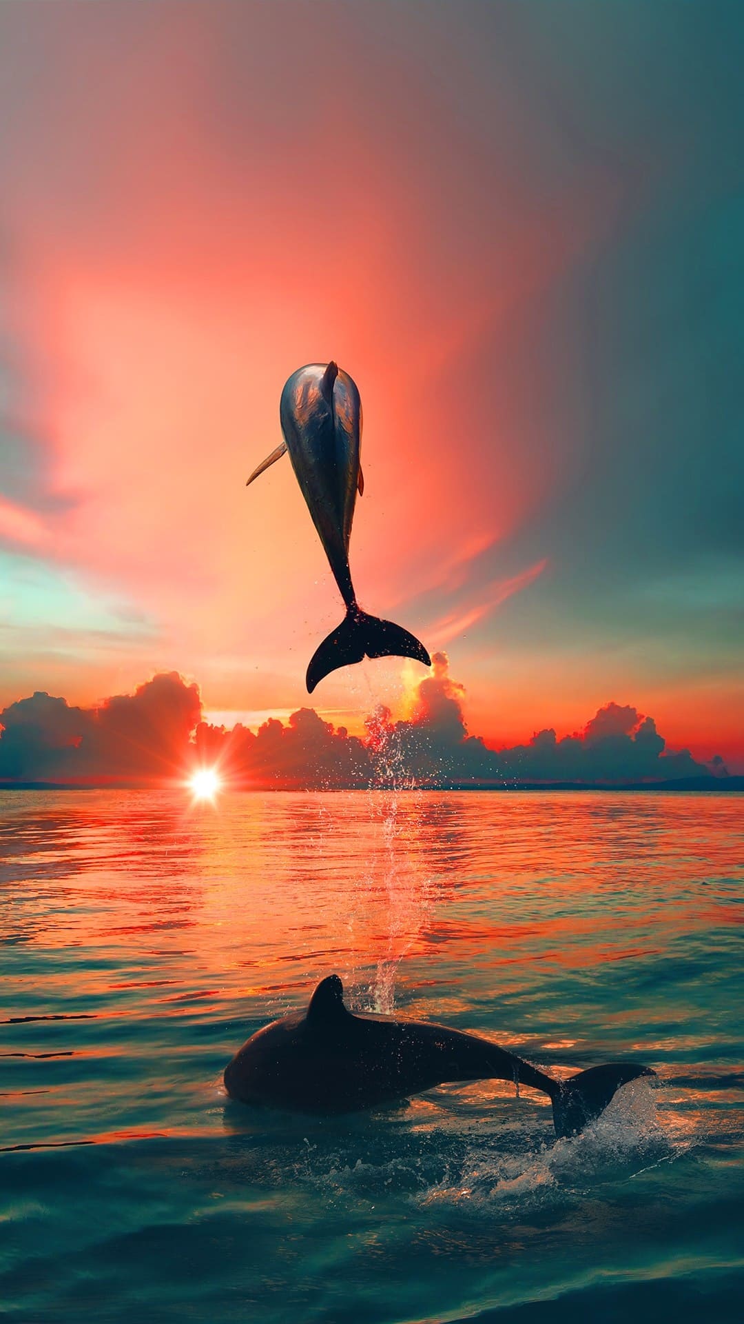 Delfin, Sprung, Sonnenuntergang, Roter Himmel, Spiegelung, Full HD, Handy-Hintergrund