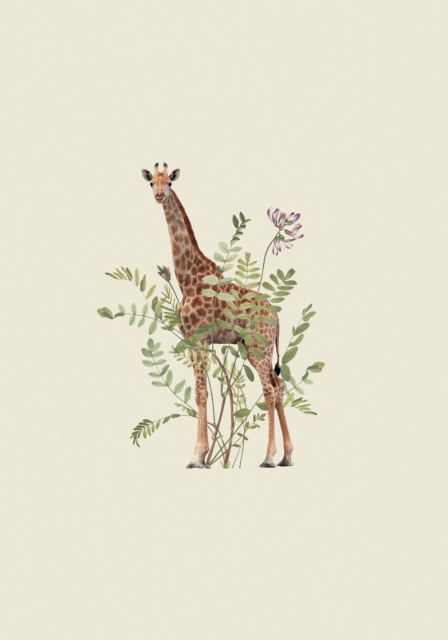 Giraffe, Pflanzen, Illustration, Botanisch, Beige, Hintergrundbild für iPad und Tablet