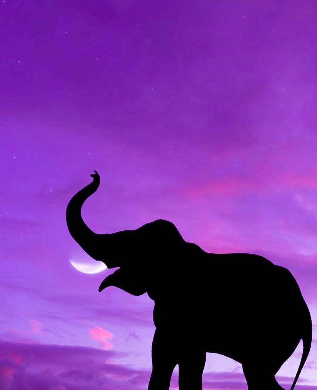 Elefanten-Silhouette, Lila Himmel, Mondsichel, Grafik, Rüssel, Full HD, Tablet-Hintergrund
