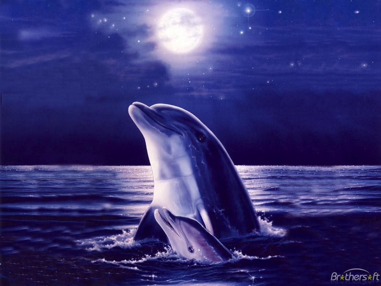 Delfin, Vollmond, Nacht, Gemälde, Meer, HD, Hintergrundbild fürs Tablet