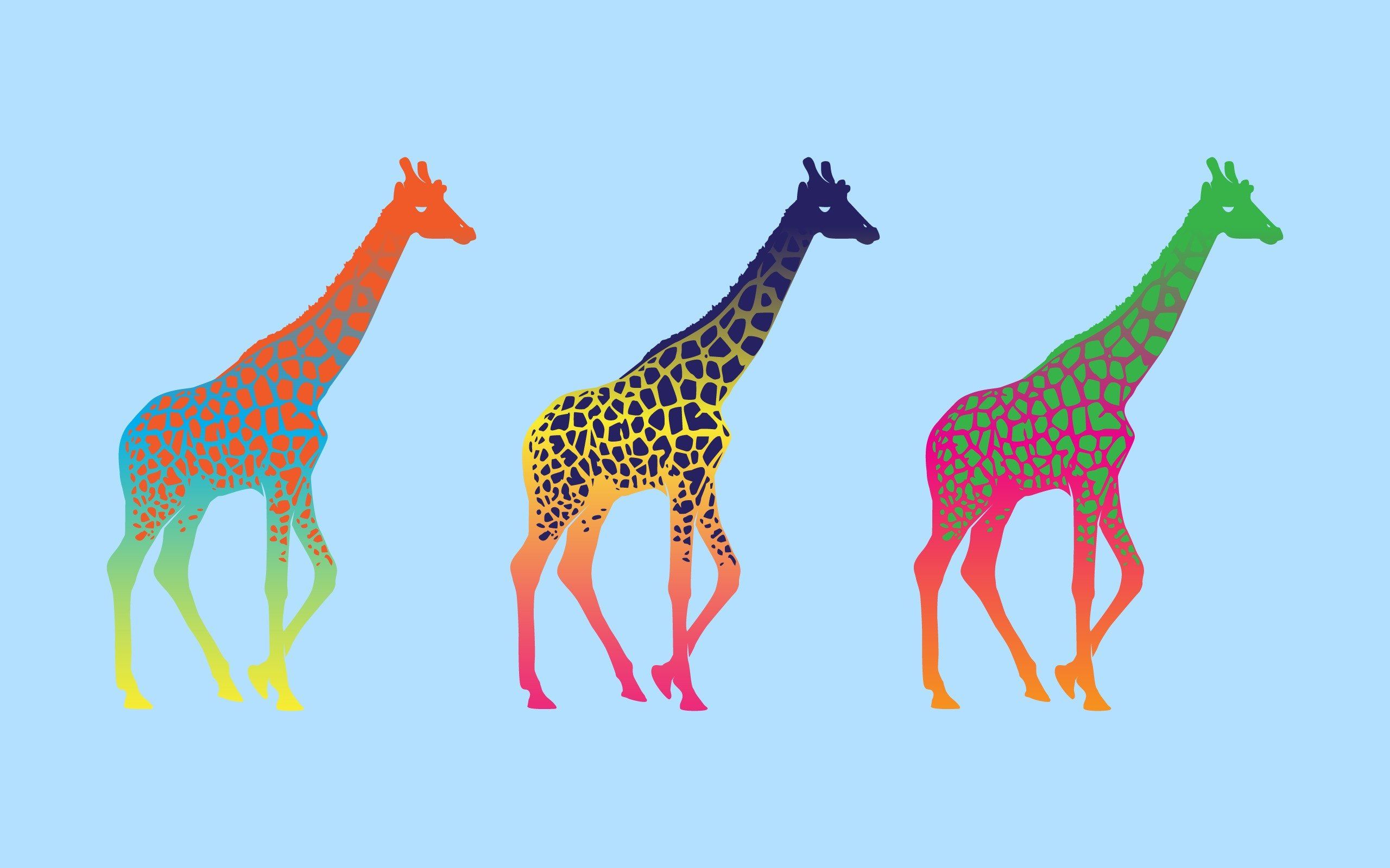 Bunte Giraffen, Regenbogenfarben, Pop-Art, Hellblauer Hintergrund, 2K Wallpaper