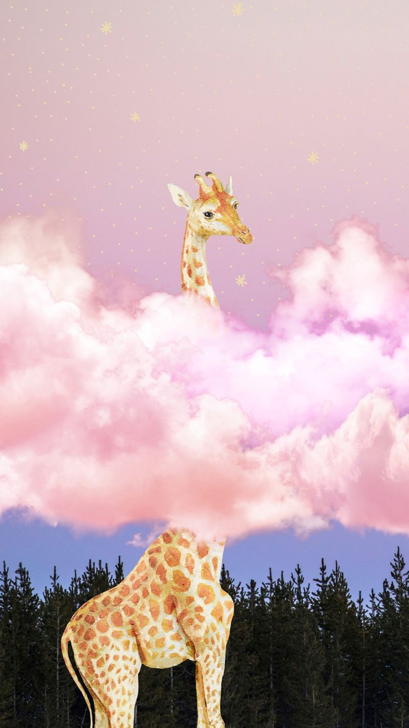 Giraffe, Rosa Wolken, Surreal, Wald, Fantasy, HD, Hintergrundbild fürs Handy