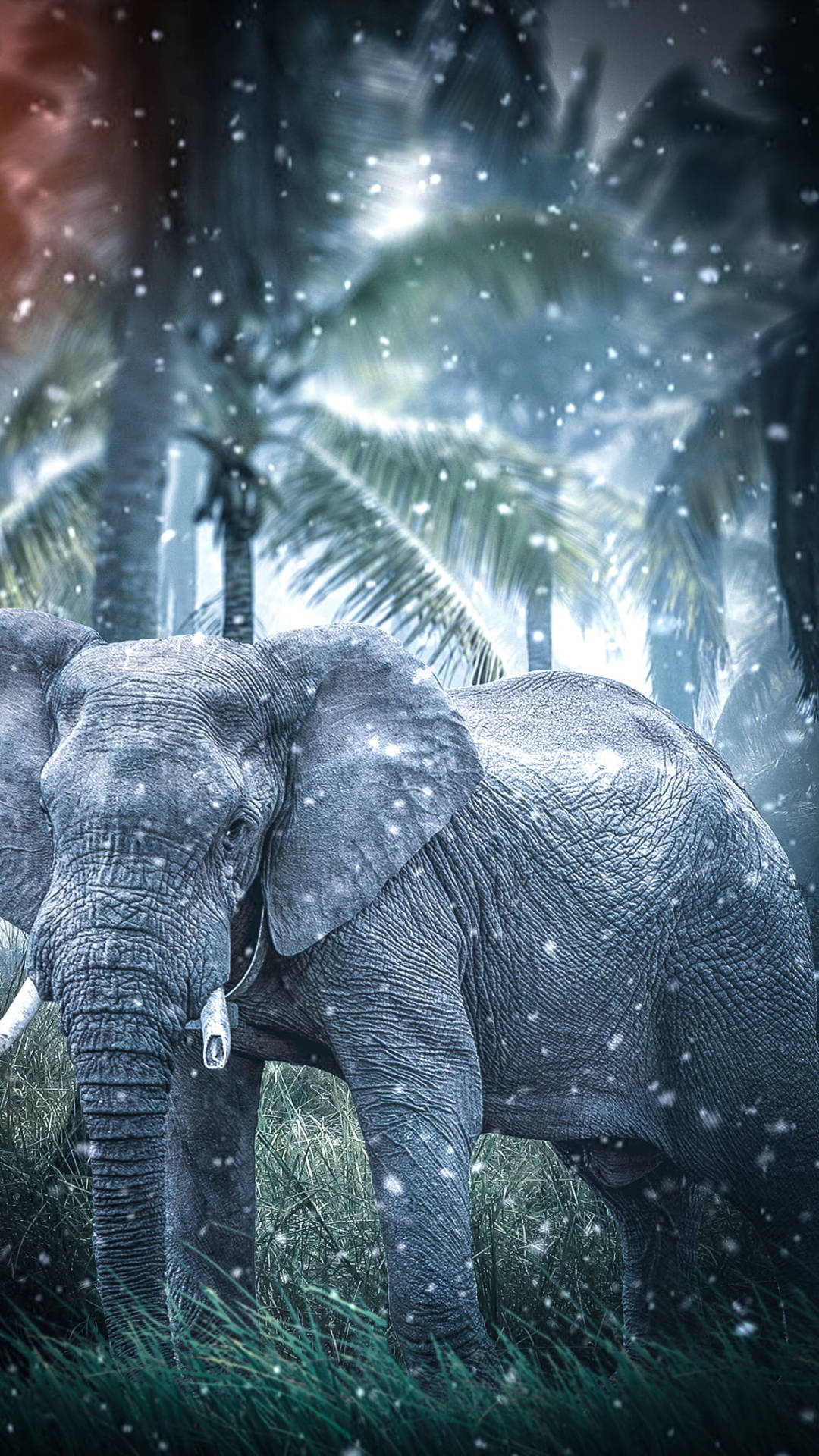 Elefant, Dschungel, Nebel, Dunkel, Stimmung, Full HD, Handy-Hintergrund im Hochformat