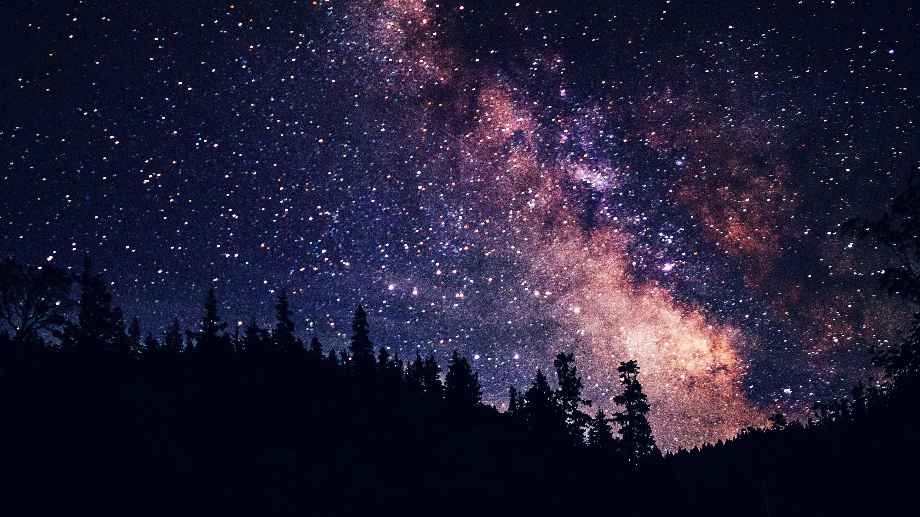 Milchstraße, Sternenhimmel, Baumsilhouetten, Nacht, Lila Himmel, 4K, Laptop-Hintergrundbild