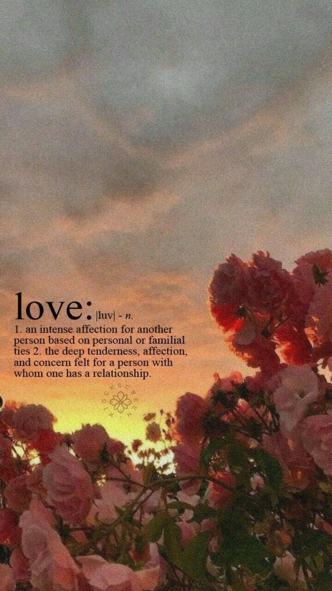 Love-Definition, Rosen, Sonnenuntergang, Text, Ästhetik, 1080x1920, Handy-Hintergrund