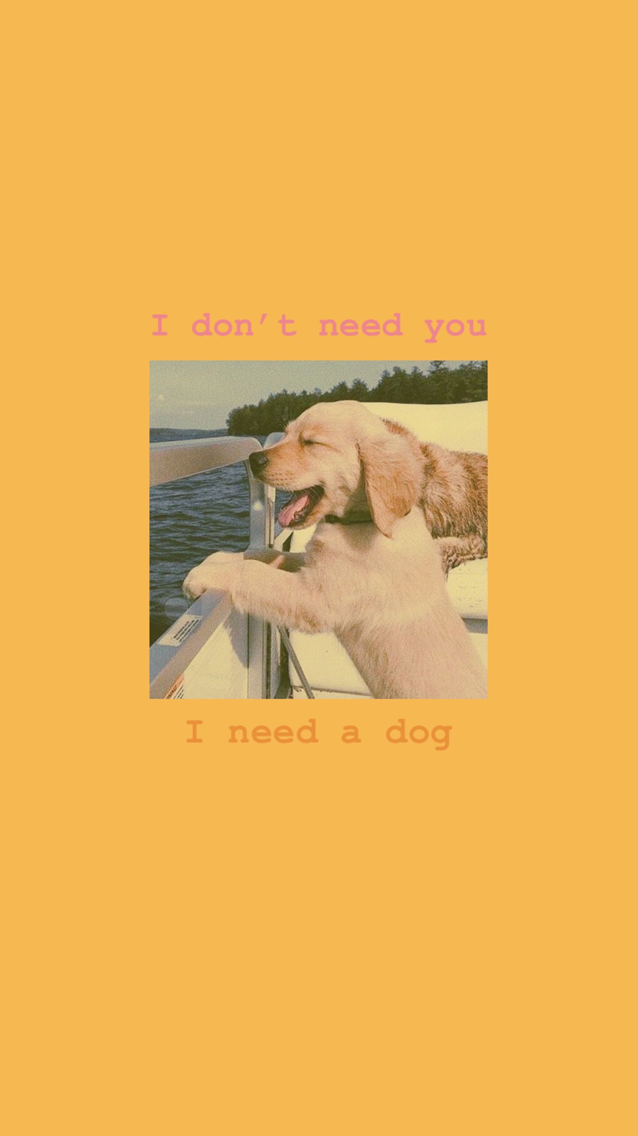 Golden Retriever, Welpe, I don't need you, I need a dog, Zitat, Gelber Hintergrund, Sperrbildschirm