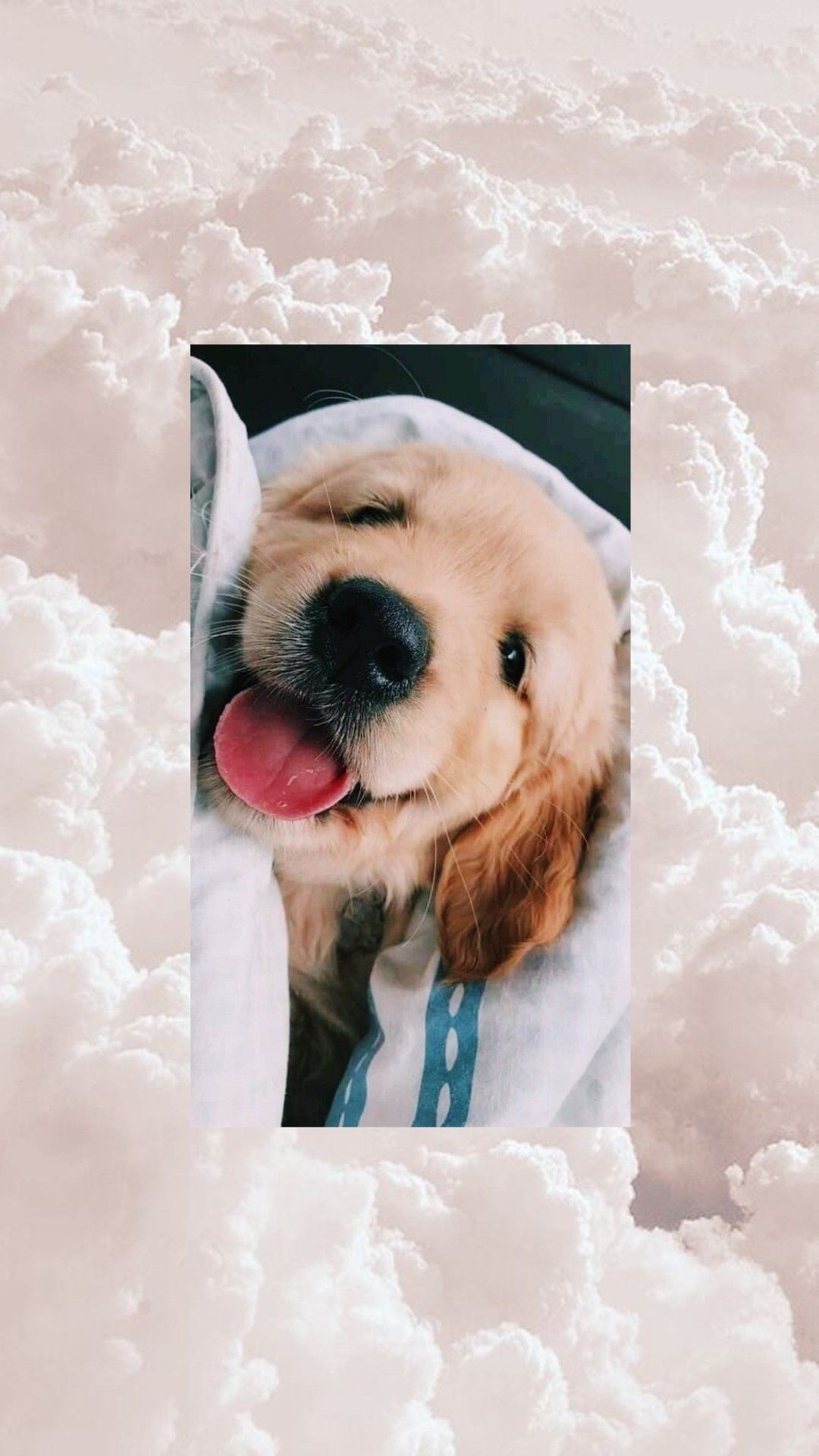 Golden Retriever, Welpe, Herausgestreckte Zunge, Wolken, Ästhetik, Full HD, Handy-Hintergrundbild