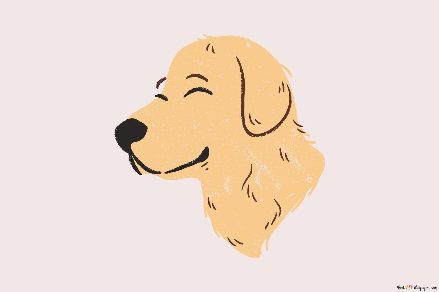 Golden Retriever, Illustration, Hundekopf, Hellrosa Hintergrund, Minimalistisch, HD Wallpaper