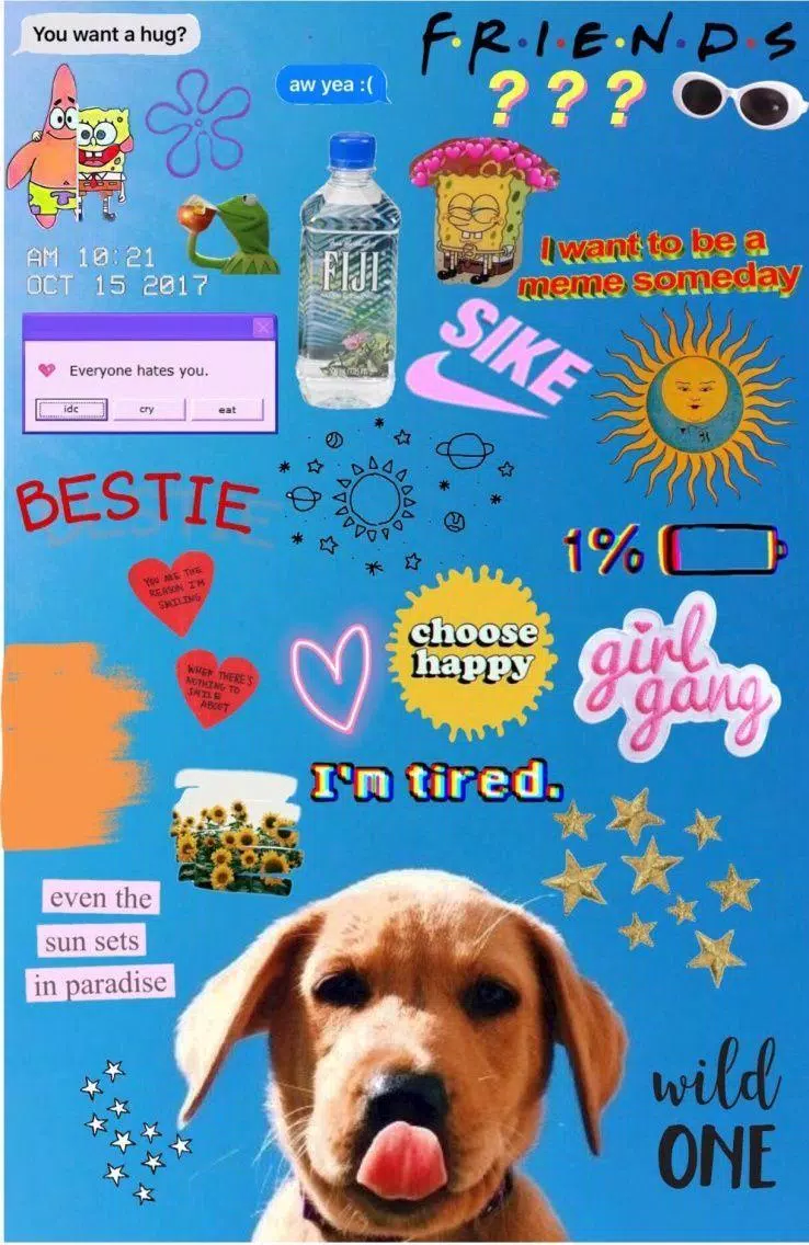 Hund, Collage, Sticker, Bestie, Blau, HD, Sperrbildschirm fürs iPhone