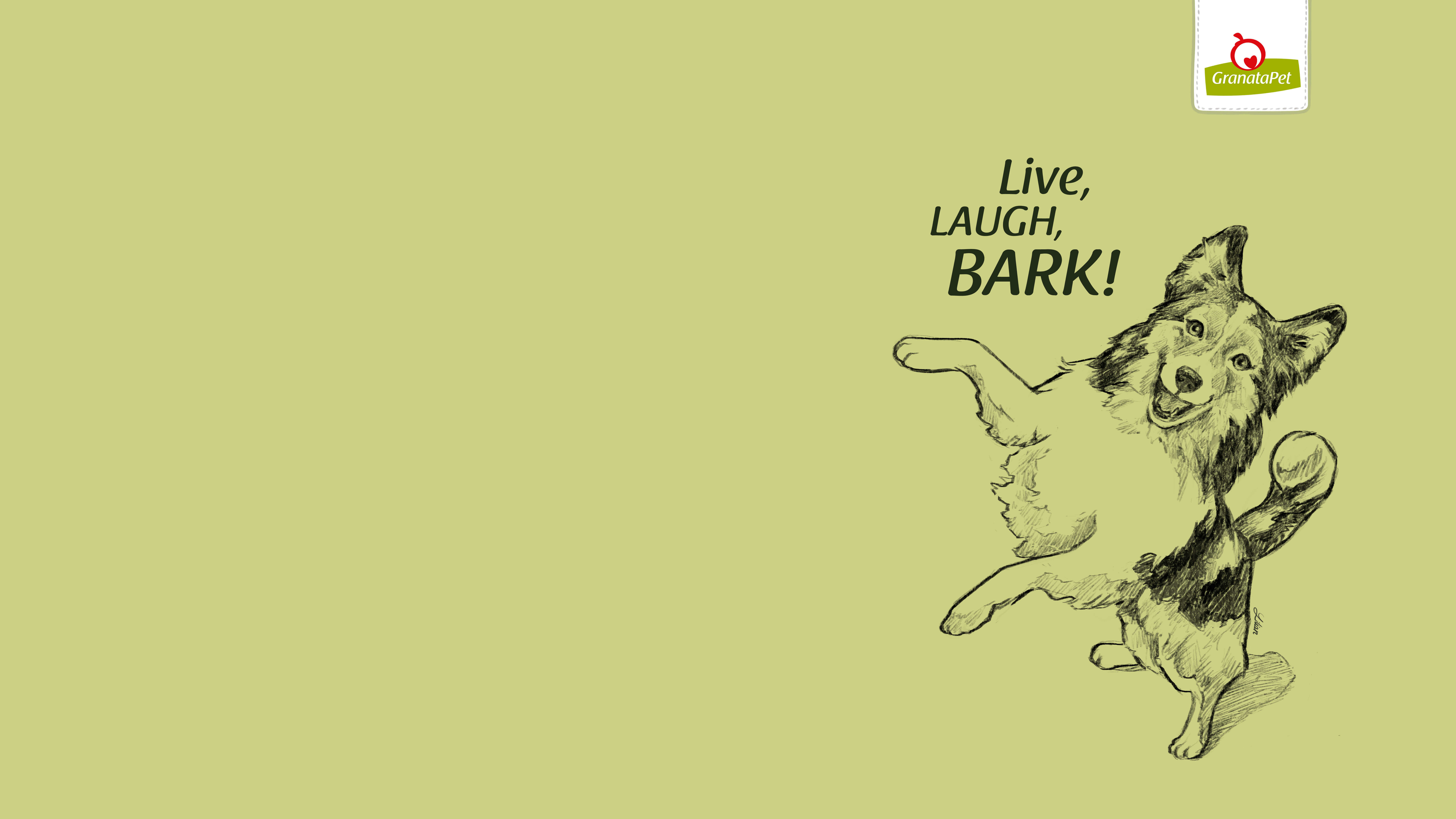 Live, Laugh, Bark!, Hund, Skizze, Olivgrün, Zitat, 8K, Desktop-Hintergrund für Windows