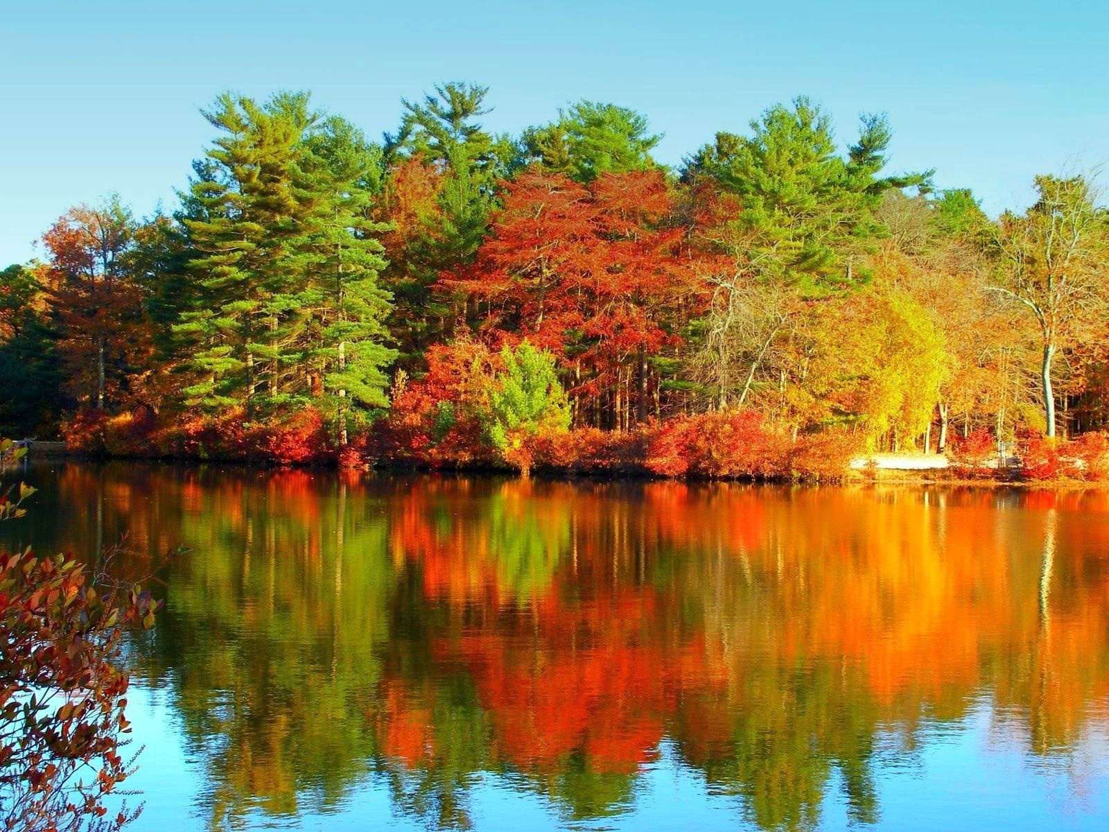 Herbstwald, See, Spiegelung, Buntes Laub, Herbst, HD, iPad-Hintergrundbild