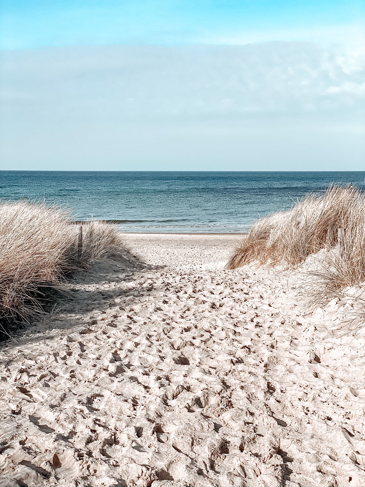 Dünen, Strandweg, Strandhafer, Ostsee, Sommer, QHD+, Hintergrundbild fürs Tablet