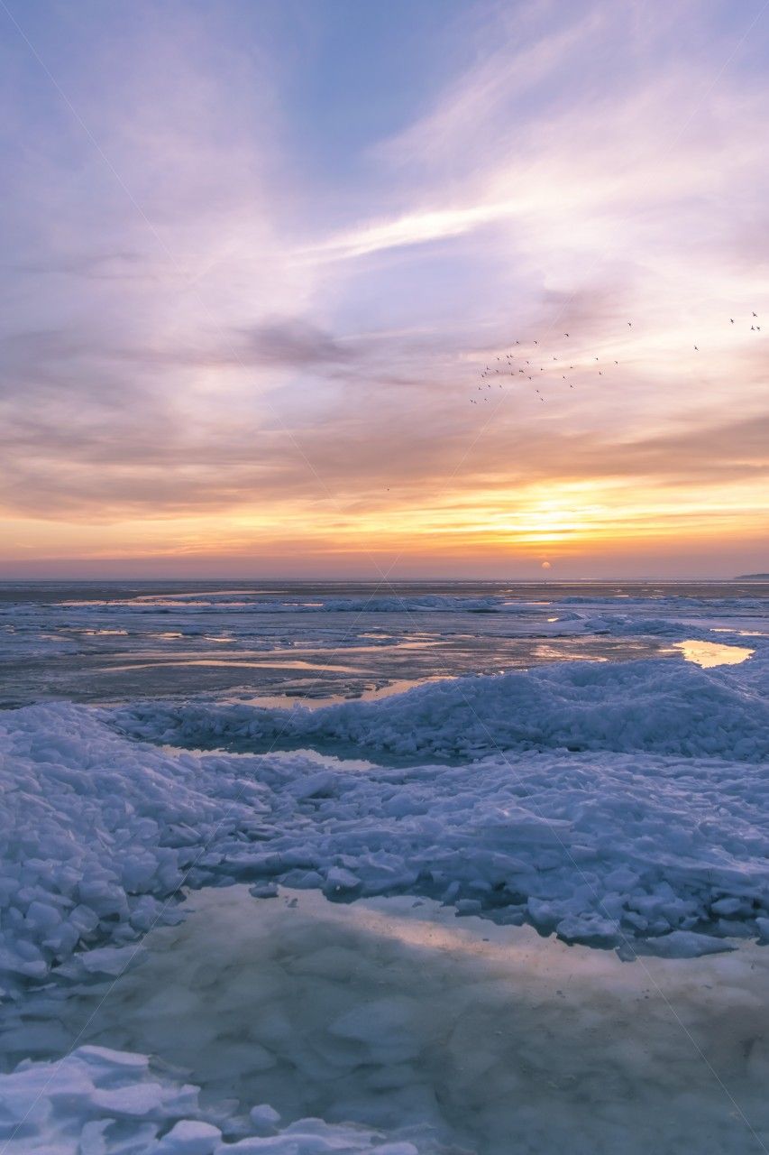 Eisschollen, Winter, Sonnenuntergang, Meer, Pastell, Hochformat, Hintergrundbild fürs Smartphone