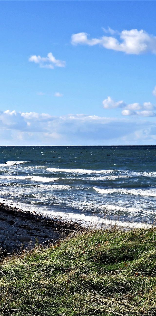 Ostsee, Küste, Wellen, Blauer Himmel, Gras, Hintergrundbild für iPhone und Android