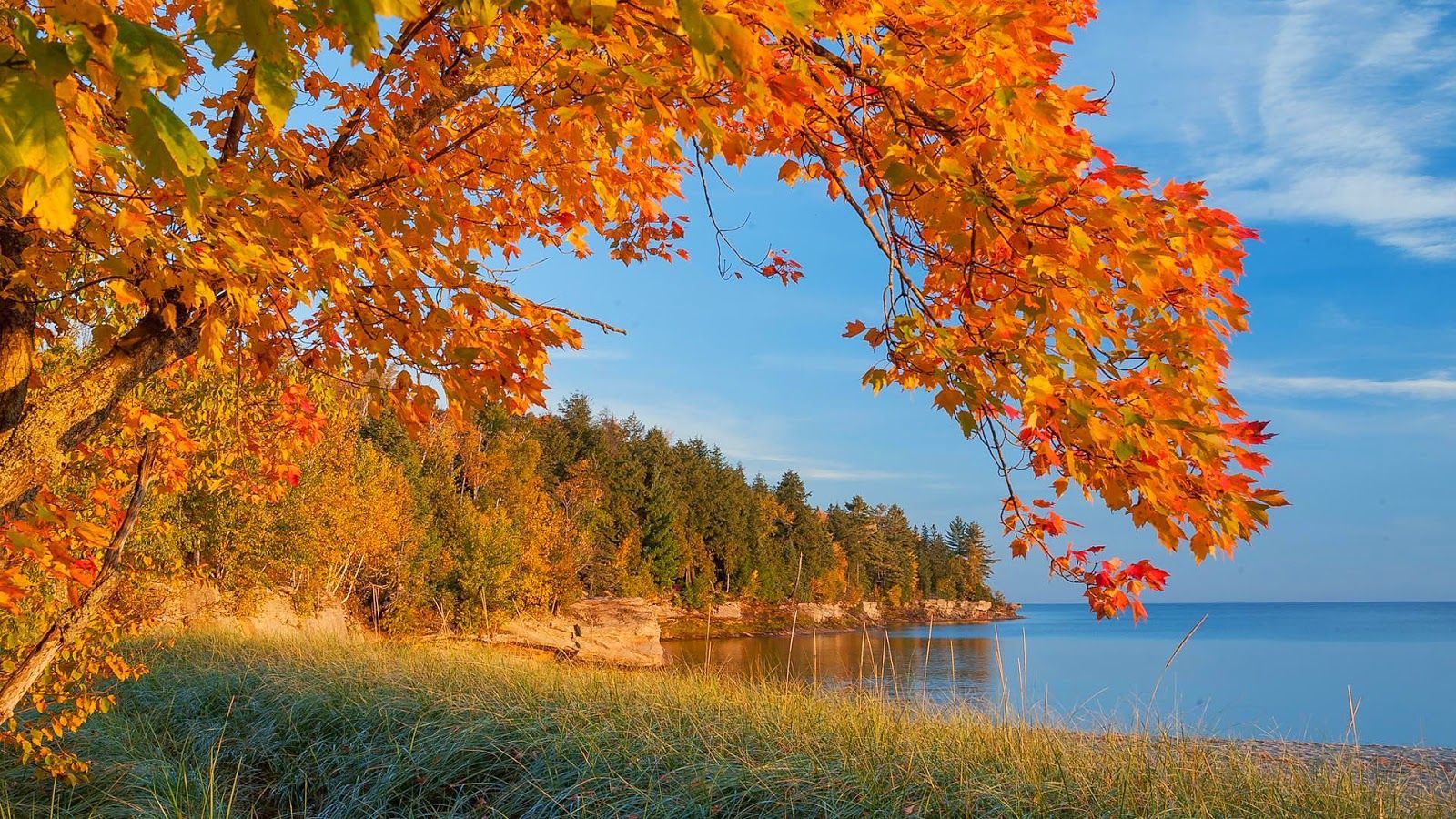 Küste, Meer, Orange Blätter, Blauer Himmel, Bucht, HD, Hintergrund für den Desktop