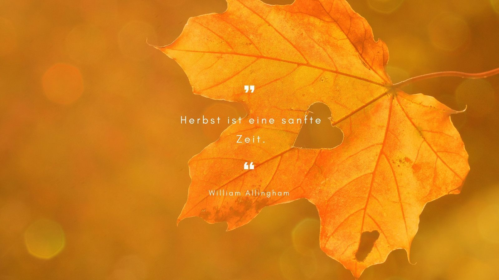 Ahornblatt, Zitat, Herbst ist eine sanfte Zeit, Orange, Bokeh, HD, Breitbild-Hintergrundbild