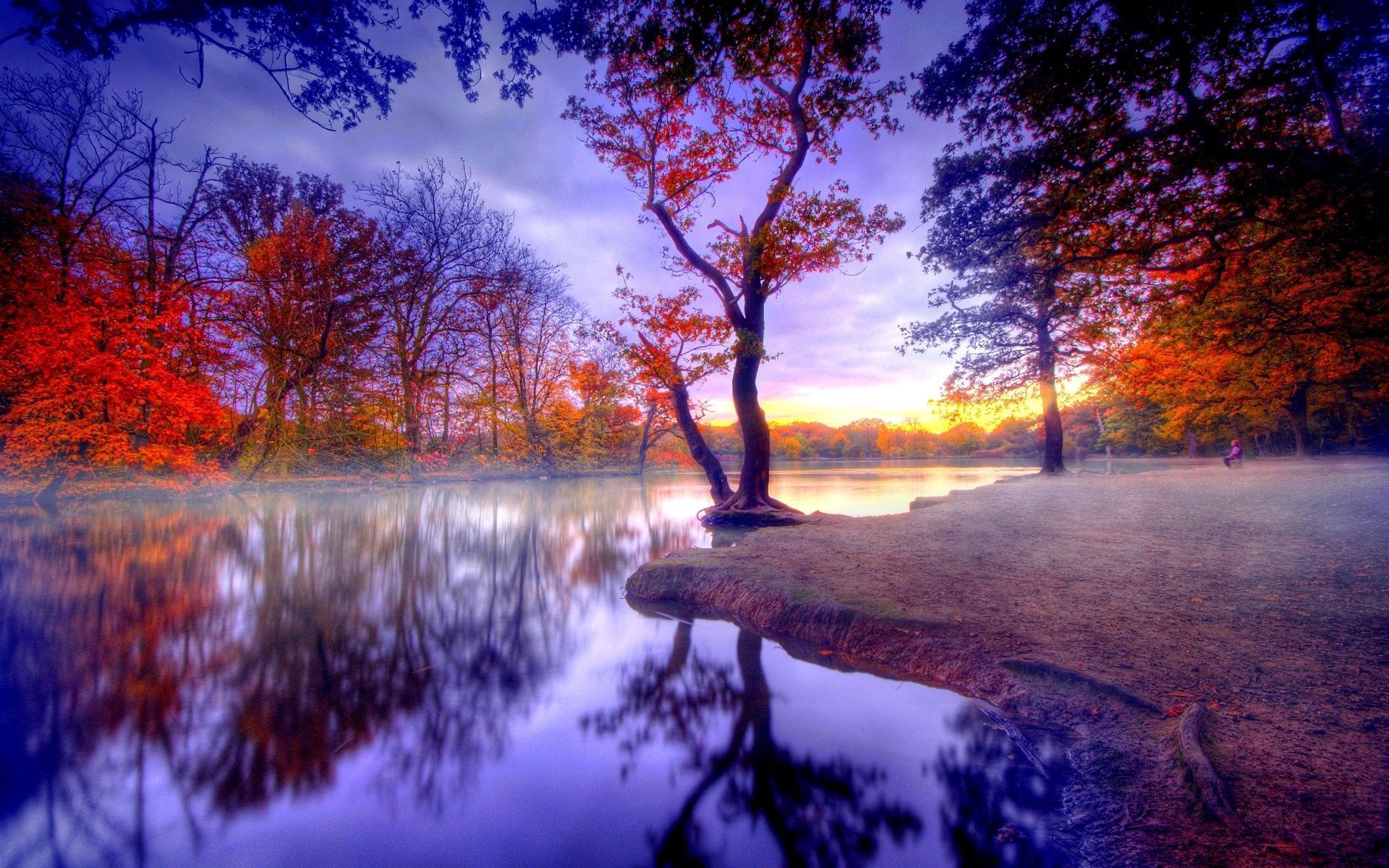 See, Spiegelung, Nebel, Sonnenaufgang, Lila, Bunte Bäume, Full HD, Breitbild-Hintergrundbild
