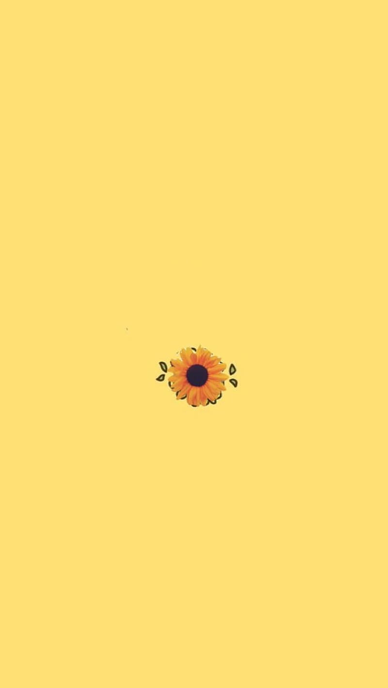 Sonnenblume, Gelber Hintergrund, Minimalistisch, Blume, HD, Sperrbildschirm fürs iPhone