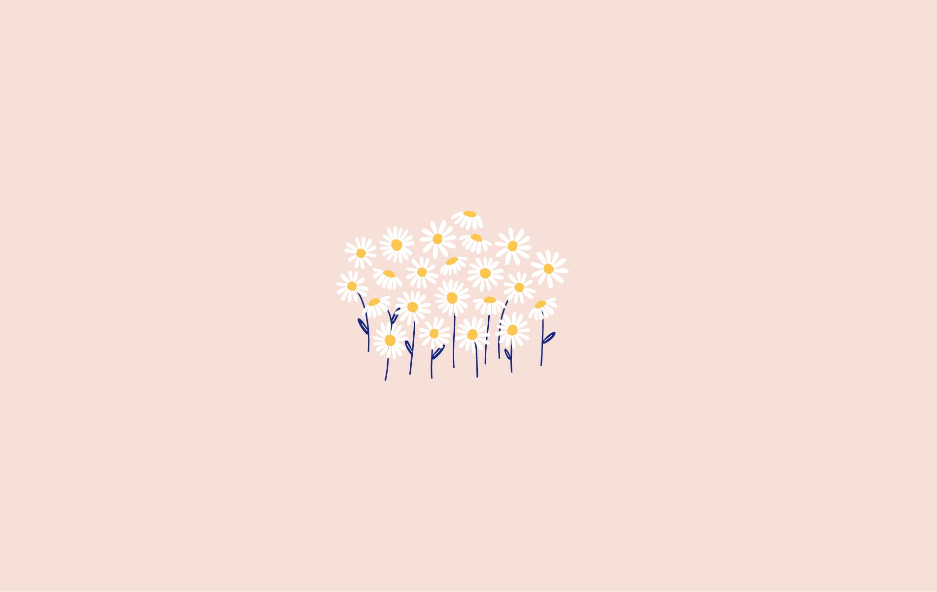 Gänseblümchen, Blumenstrauß, Beiger Hintergrund, Minimalistisch, HD Wallpaper