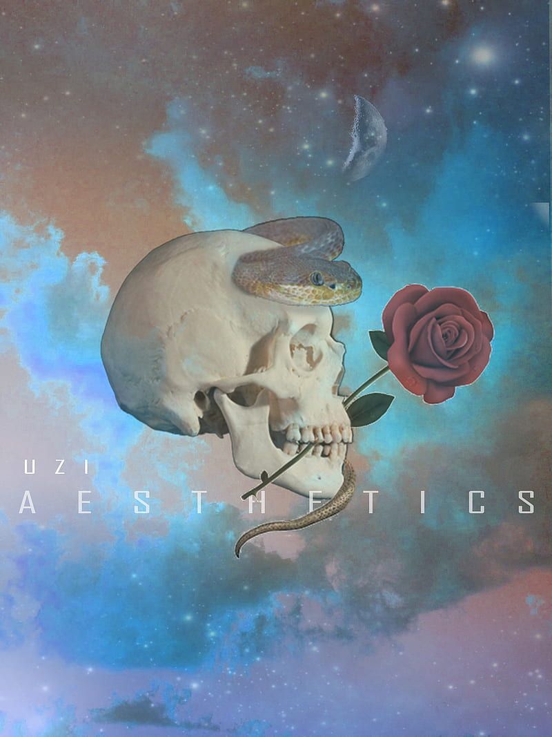 Totenkopf, Rose, Weltraum, Nebel, Aesthetics, Surreal, Hintergrundbild für iPad und Tablet