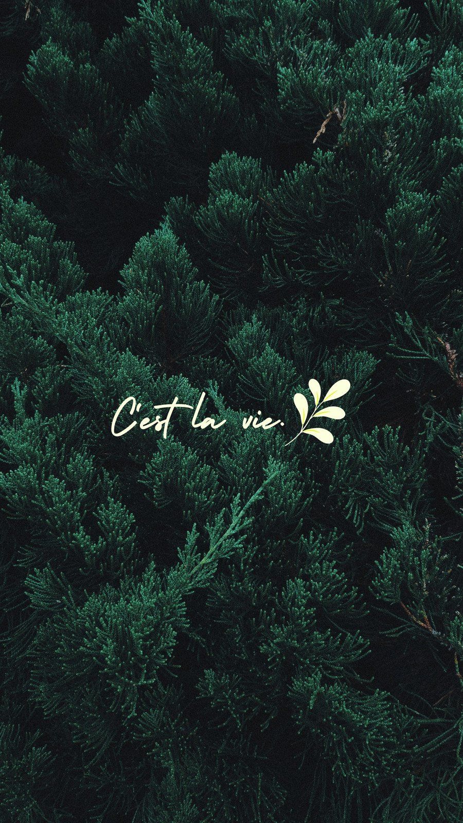 C'est la vie, Schriftzug, Wald, Dunkelgrün, Hochformat, Hintergrundbild fürs Smartphone
