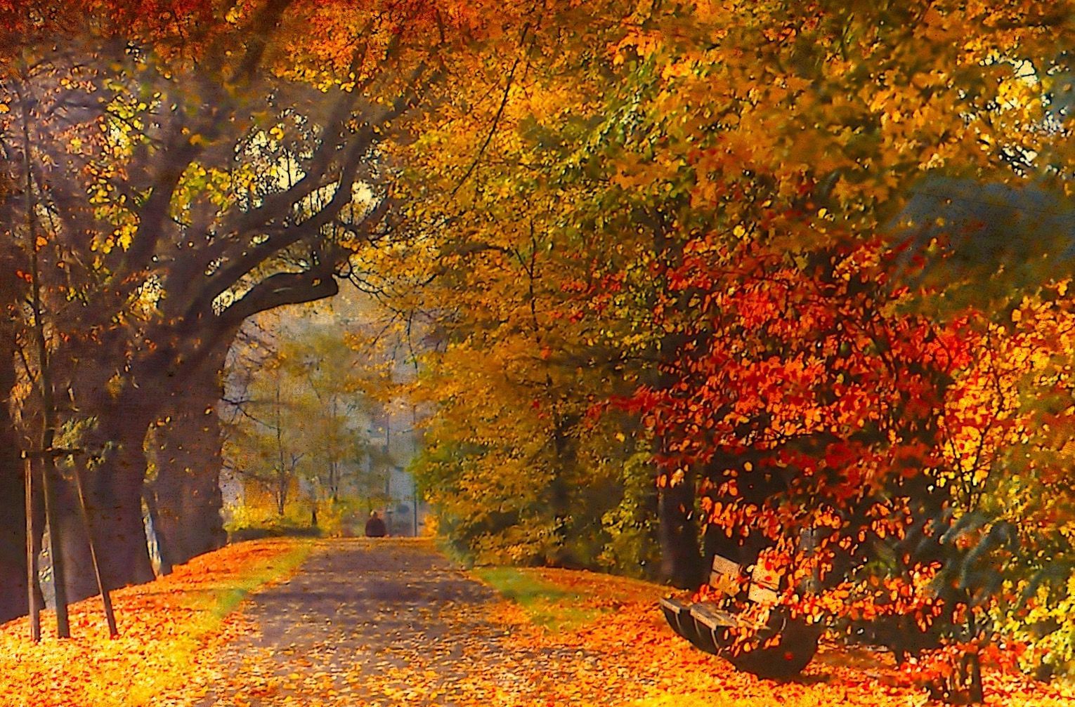 Parkweg, Bunte Bäume, Laub, Allee, Gemälde-Stil, HD, Hintergrundbild für den PC