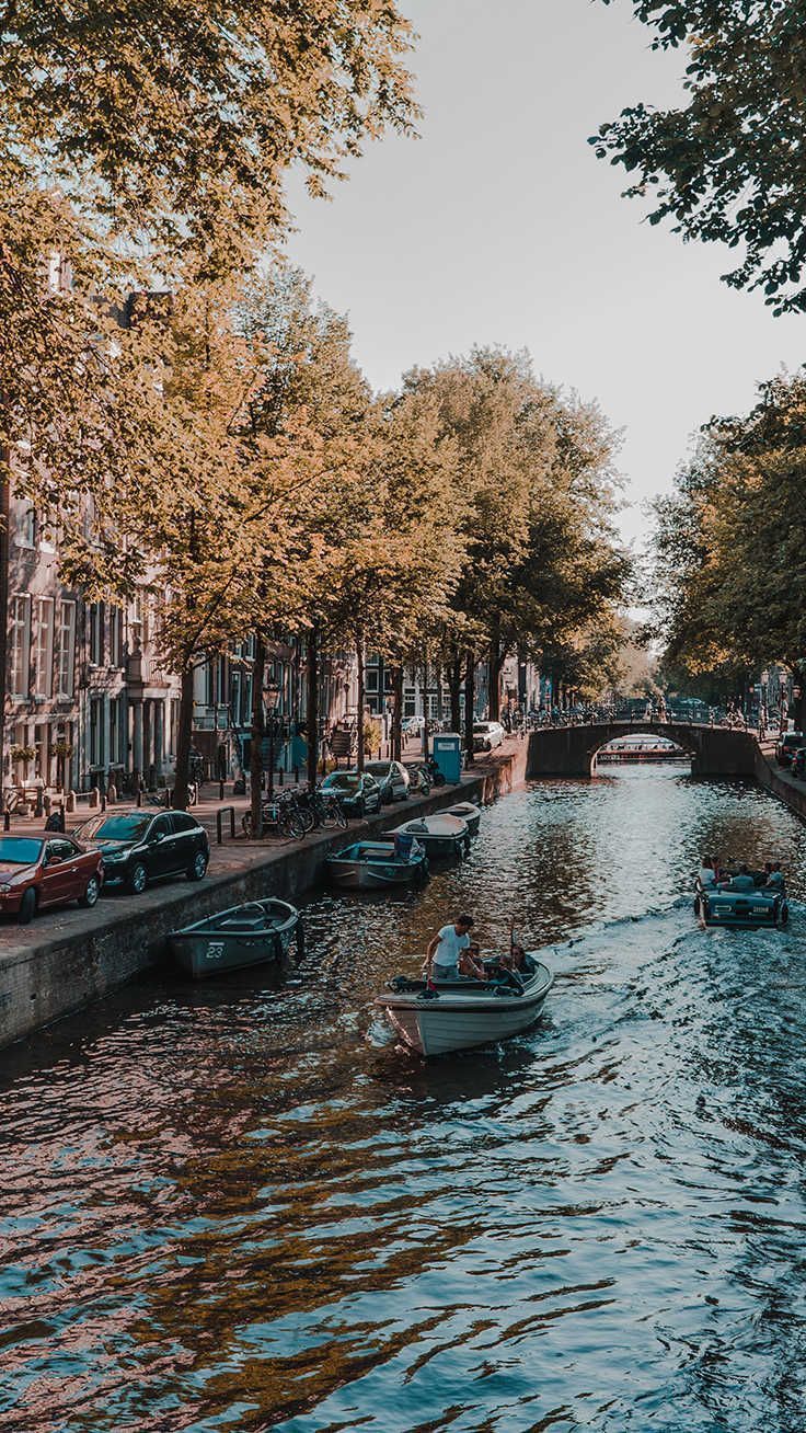 Amsterdam, Gracht, Bäume, Boot, Tag, HD, Hintergrundbild fürs Handy