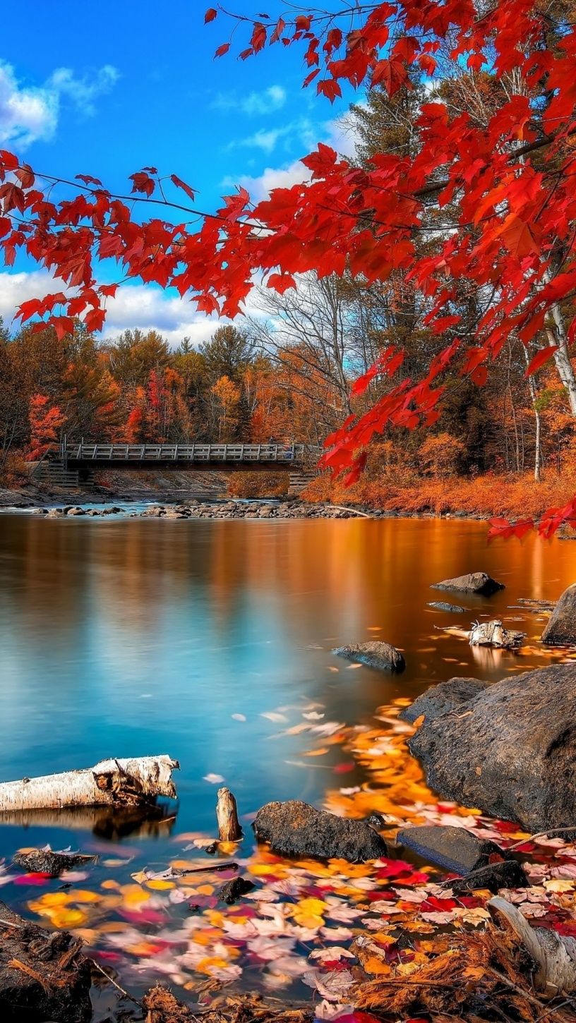 See, Rote Blätter, Brücke, Blauer Himmel, Ufer, Hochformat, Hintergrundbild fürs Smartphone