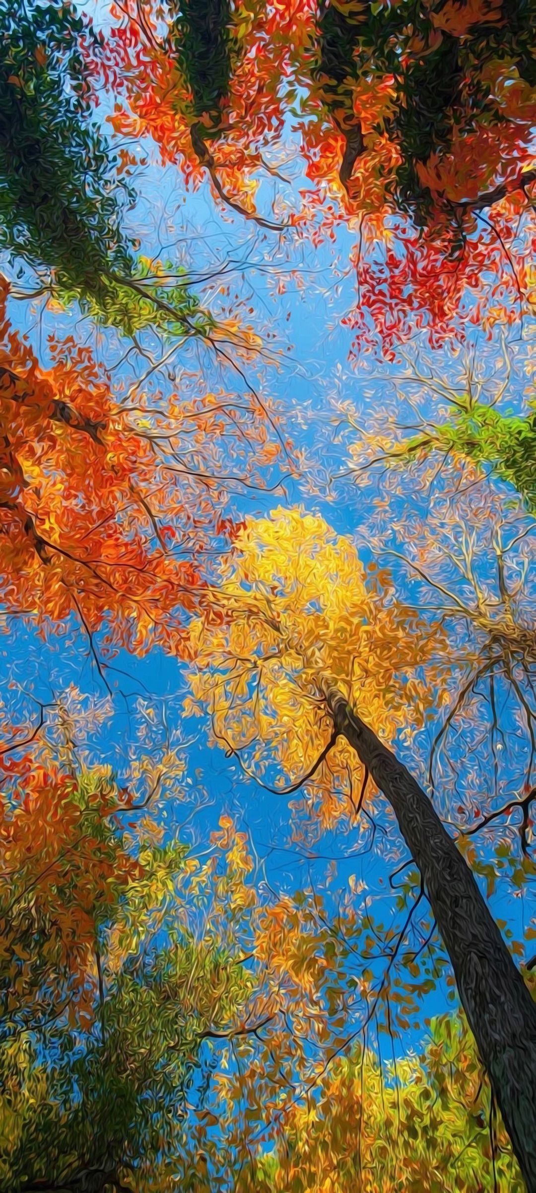 Baumkronen, Froschperspektive, Blauer Himmel, Gelbe Blätter, Full HD, Handy-Hintergrund