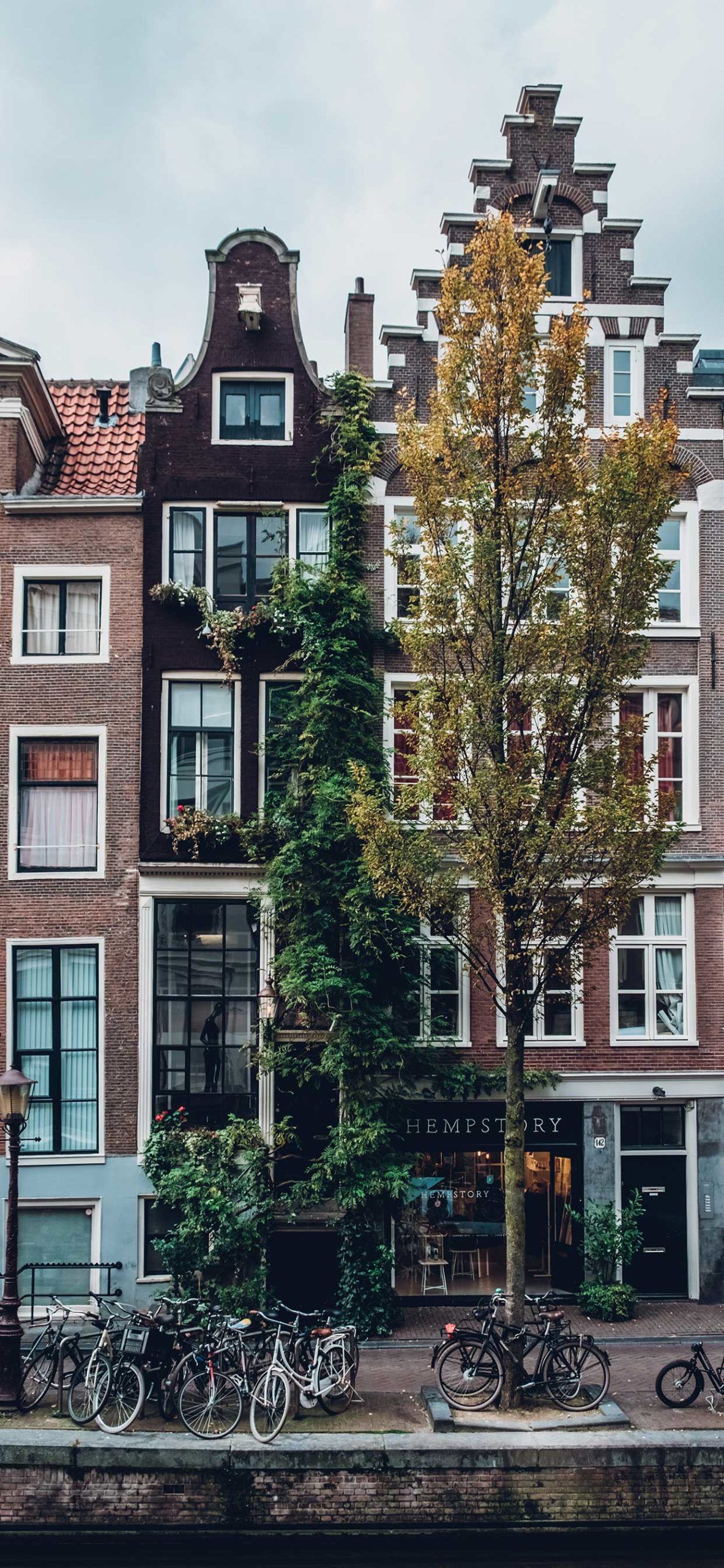 Amsterdam, Giebelhaus, Bäume, Fahrräder, Fassade, Full HD, Sperrbildschirm fürs iPhone
