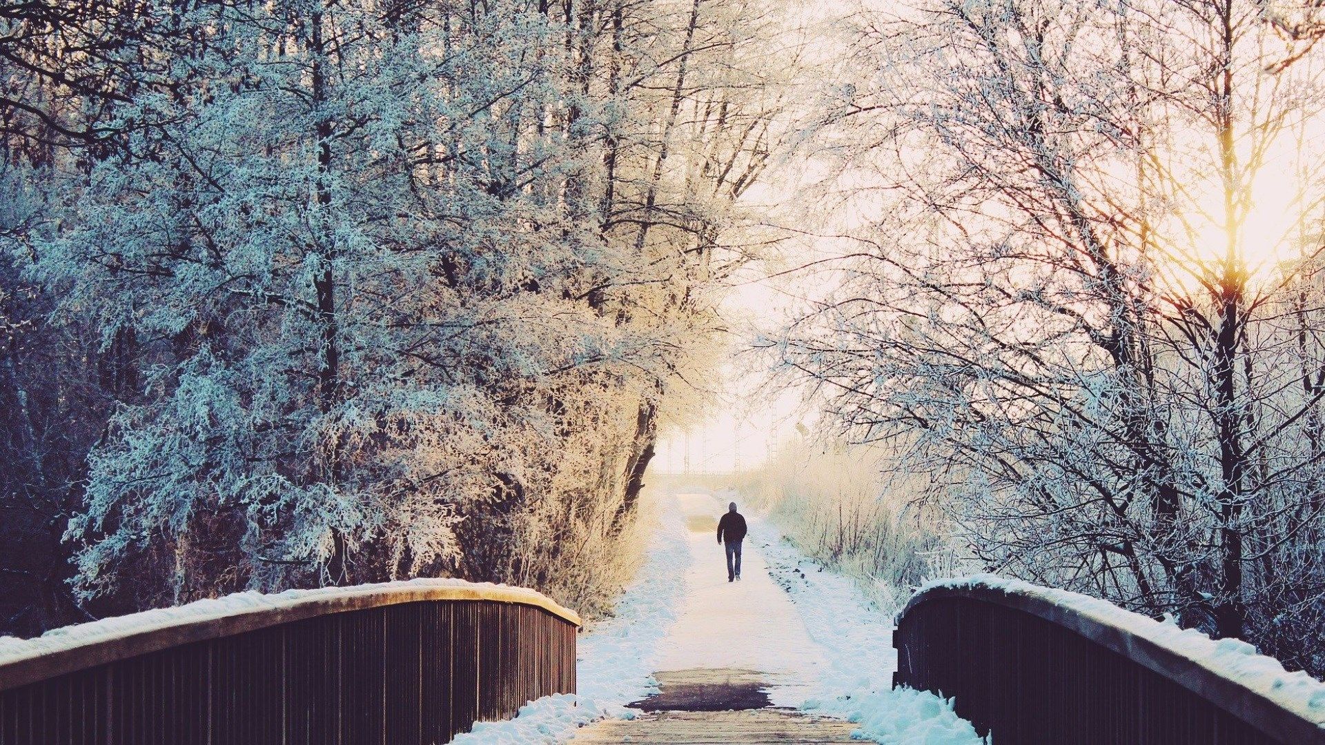 Brücke, Winter, Verschneite Bäume, Spaziergänger, 1920x1080, Full-HD-Hintergrundbild für PC
