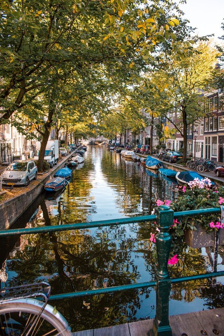 Amsterdam, Gracht, Bäume, Brückengeländer, Sommer, Hochformat, Hintergrundbild fürs Smartphone