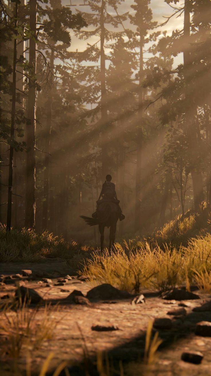 Ellie, The Last of Us, Wald, Sonnenstrahlen, Silhouette, HD, Handy-Hintergrund