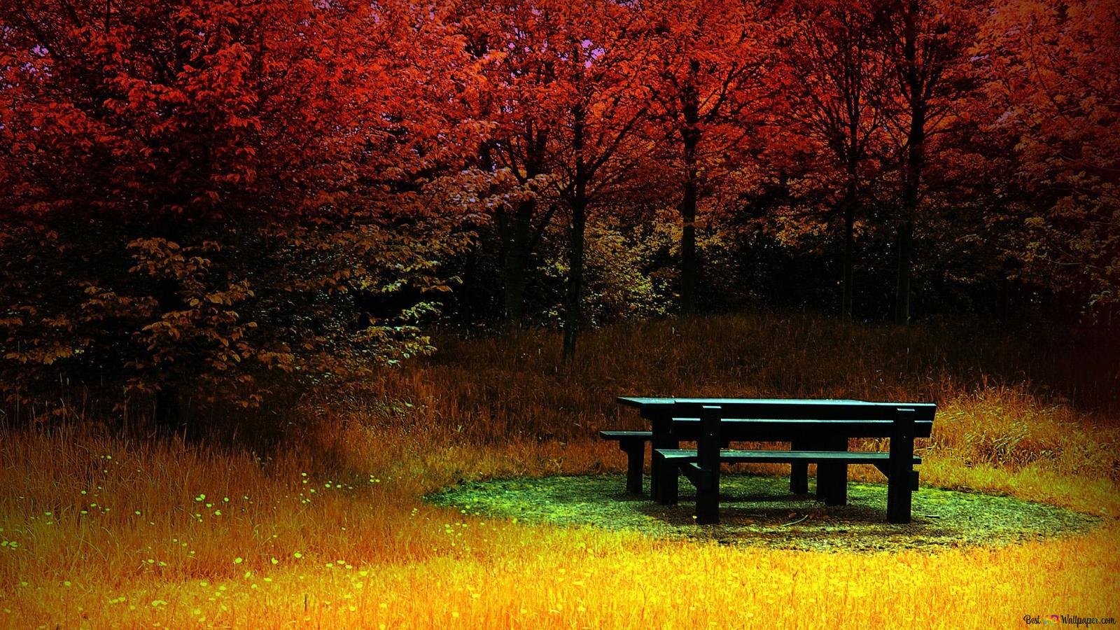 Picknicktisch, Roter Wald, Lichtung, Gras, Herbstfarben, HD, Laptop-Hintergrundbild