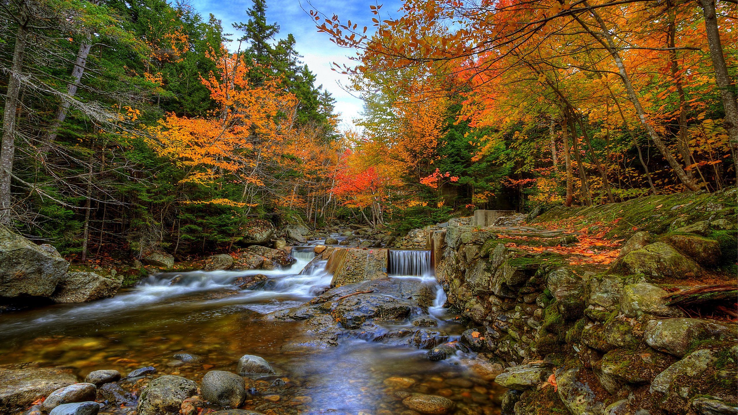 Gebirgsbach, Felsen, Herbstwald, Kaskaden, Natur, 2K, Desktop-Hintergrund für Windows