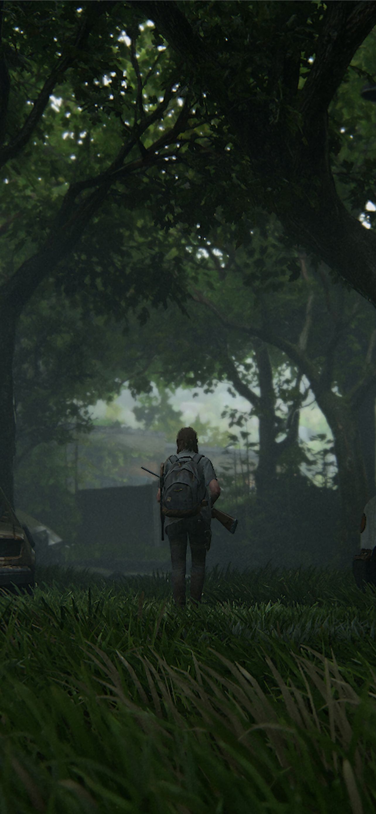 The Last of Us, Wald, Silhouette, Dunkelgrün, Nebel, Full HD, Hintergrundbild fürs Handy